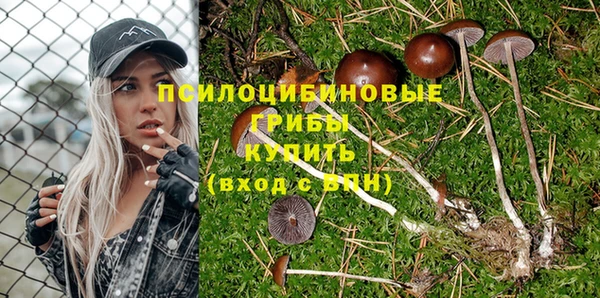 круглые Абаза