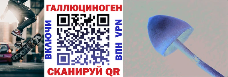 darknet состав  Иркутск  Псилоцибиновые грибы Psilocybine cubensis  дарнет шоп 